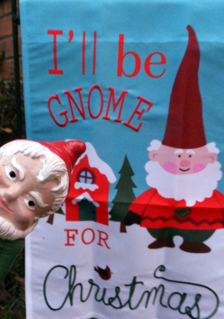 Gnome For The Holidays by linnypinny