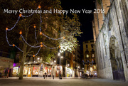 23rd Dec 2015 - Happy Holidays