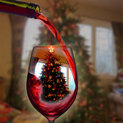 22nd Dec 2015 - My tree in a glass