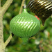 Outdoor Ornaments by seattlite