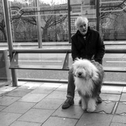 23rd Dec 2015 - Man and his dog