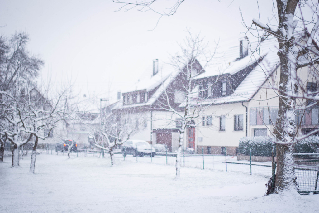 winter in Germany #166 by ricaa