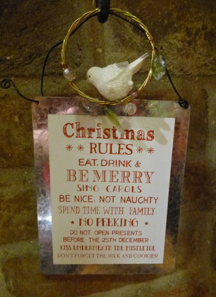 Christmas rules by snowy