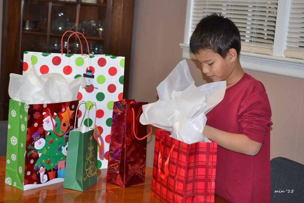 Gift Bagging by mhei