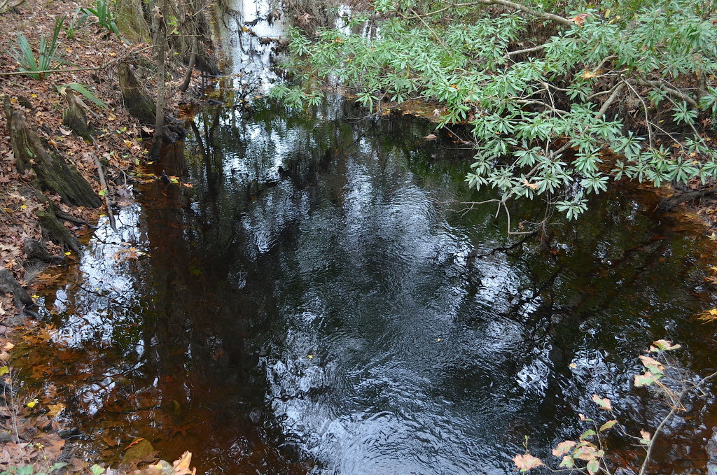 Flowing water, Caw Caw Interpretive Center, Ravenel, SC by congaree