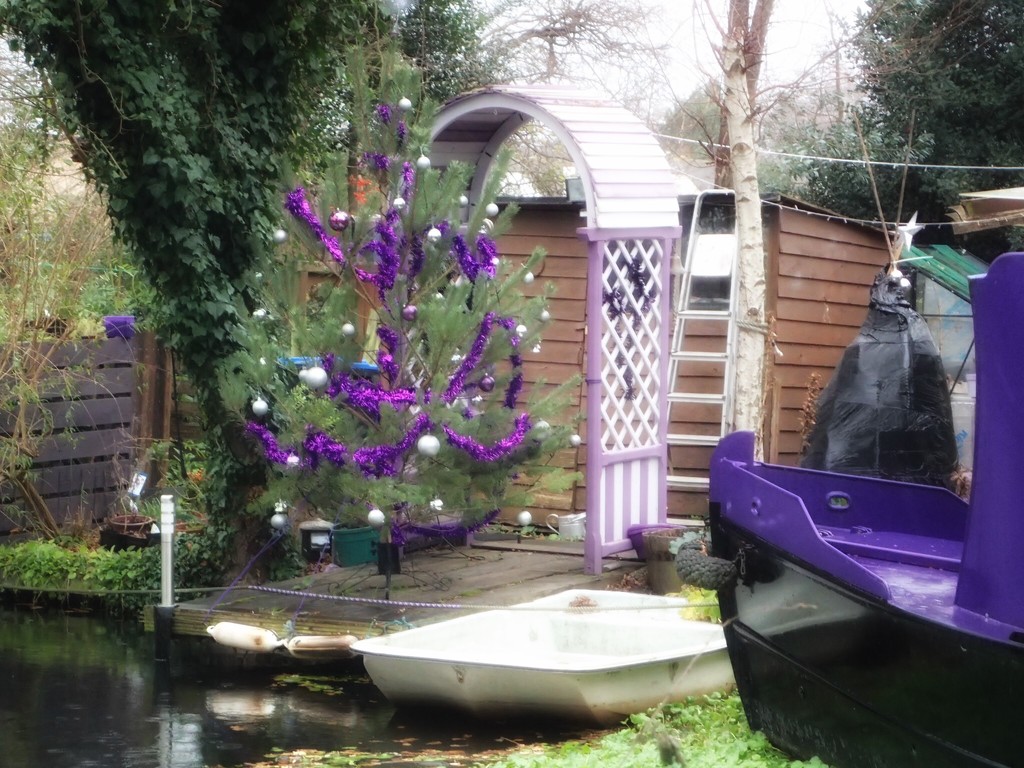 Christmas Tree on the Canal by mattjcuk