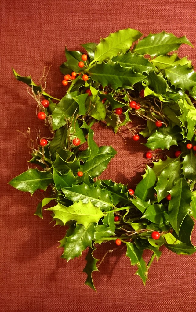Holly wreath by boxplayer