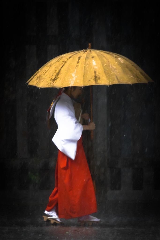 The Japan Series Begins--Girl in the Rain by darylo
