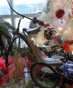 22nd Dec 2015 - Old Tricycles make good Christmas decorations!