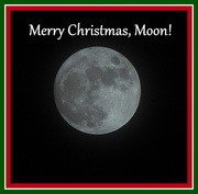 24th Dec 2015 - Merry Christmas, Moon!