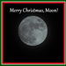 Merry Christmas, Moon! by homeschoolmom