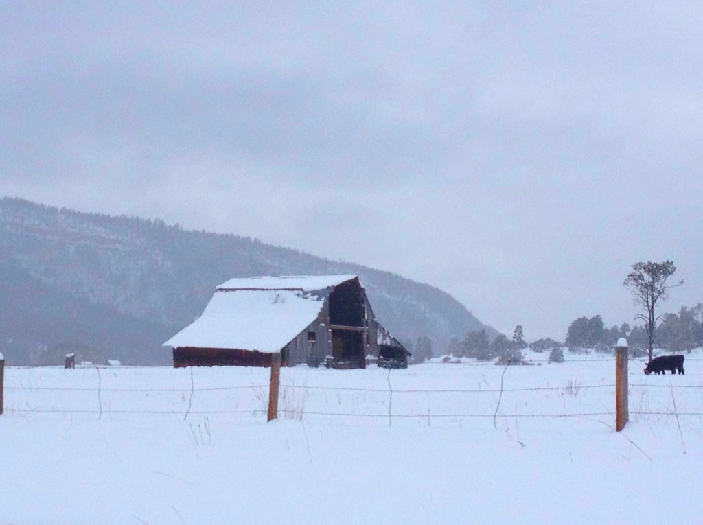 Snow Barn by 365projectorgkaty2