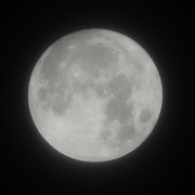 25th Dec 2015 - First Christmas Day Full Moon since 1977