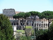 29th Mar 2015 - Colosseum