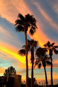 23rd Dec 2015 - Arizona Sunset