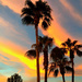 Arizona Sunset by jeffjones