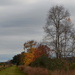 Late Autumn landscape, former rice fields and waterfowl area, Caw Caw Interpretive Center, Ravenel, SC by congaree