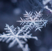 25th Dec 2015 - snowflake