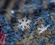 24th Dec 2015 - filler snowflake