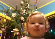 27th Dec 2015 - Daisy Selfie the Second