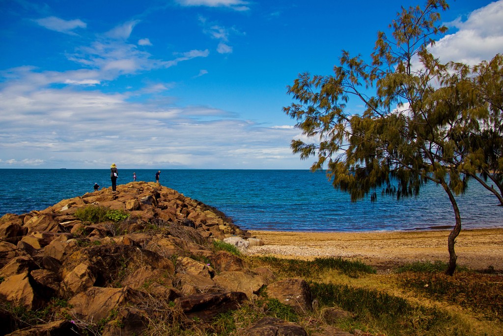 Queens Beach by corymbia