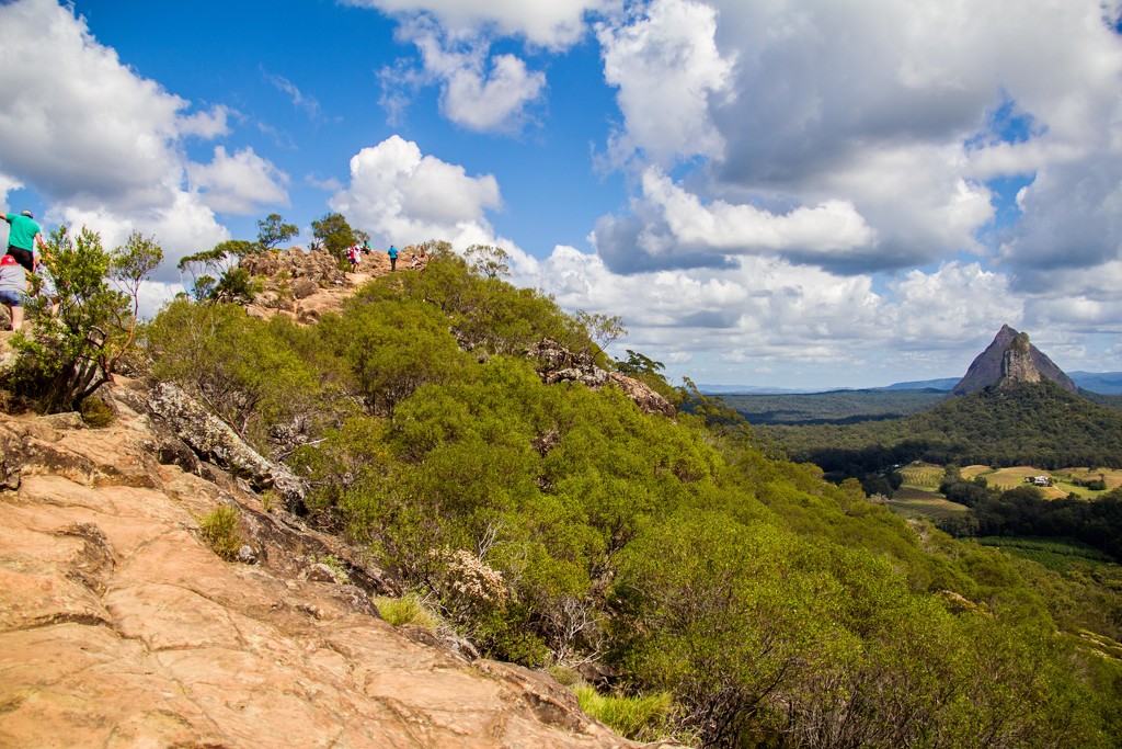 Ngungun peak by corymbia