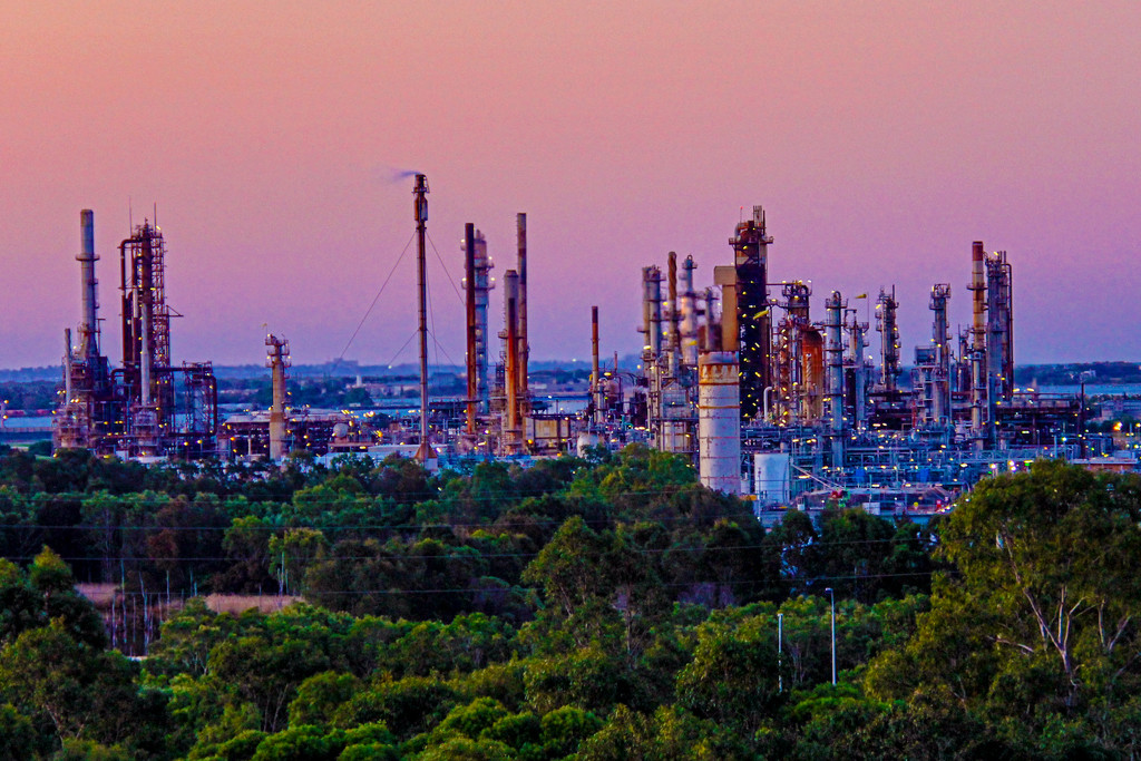 refinery crop by corymbia
