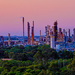 refinery crop by corymbia