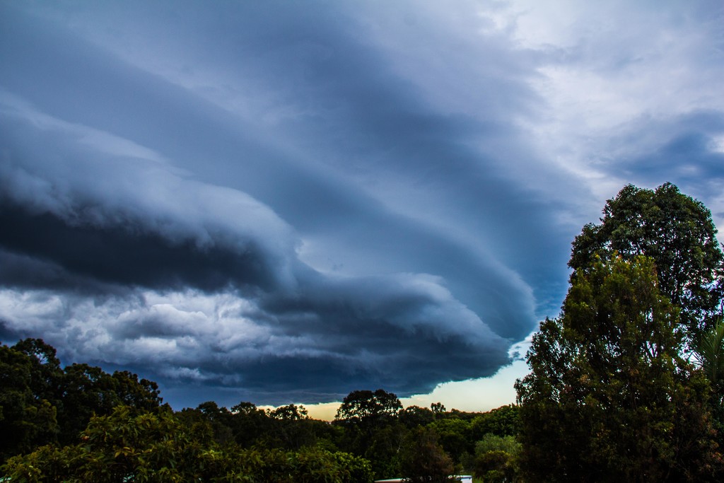 Storm1 by corymbia