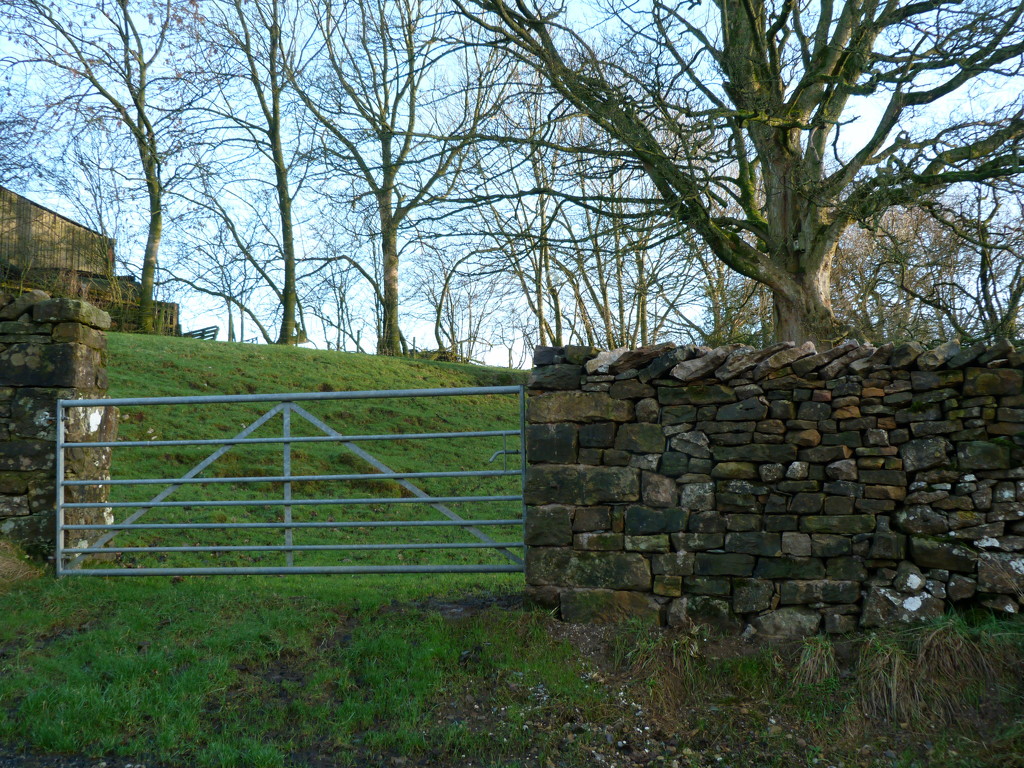 Mended wall gap by shirleybankfarm
