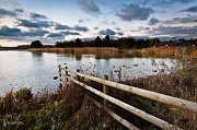 25th Nov 2010 - A cold day in a country park
