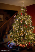 25th Dec 2015 - Christmas Tree 2015