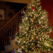 Christmas Tree 2015 by calm