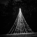 Tree of Light by rosiekerr