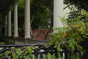 28th Dec 2015 - Columns and vines, historic district, Charleston, SC