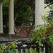 Columns and vines, historic district, Charleston, SC by congaree