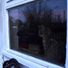 Dougal Watching the Sunrise by arkensiel