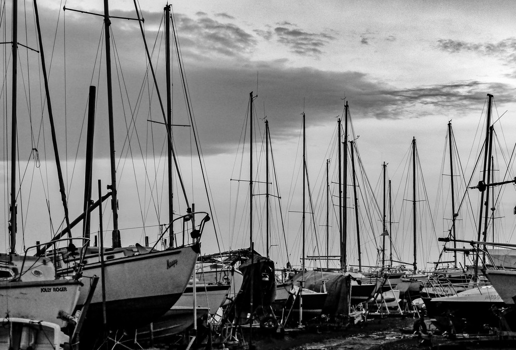 Sailing Club by frequentframes