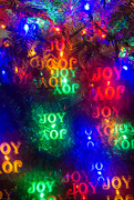 28th Dec 2015 - Joy, joy, joy