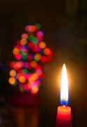 24th Dec 2015 - The Candle and the Christmas Tree