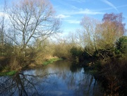 28th Dec 2015 - River Colne