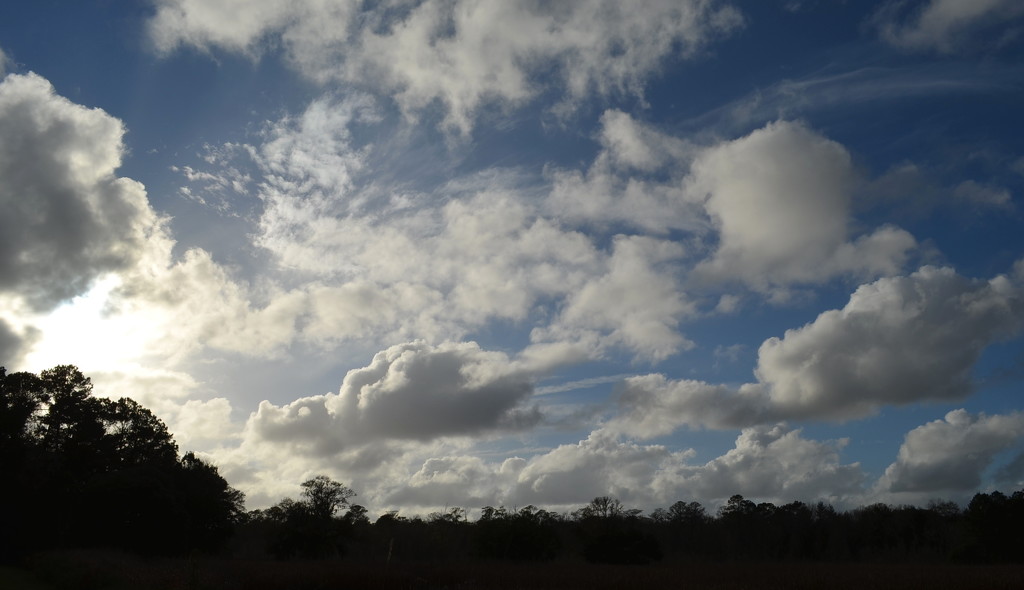 A sky full of clouds during an afternoon walk, at Caw Caw Interpretive Center, Ravenel, SC by congaree