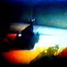 Photo of a photo of a plastic animated fish film by steveandkerry