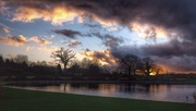 29th Dec 2015 - Sunset at RHS Wisley