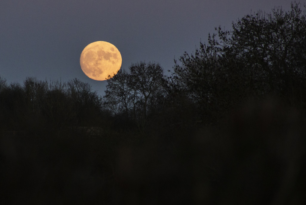 More moon by shepherdman