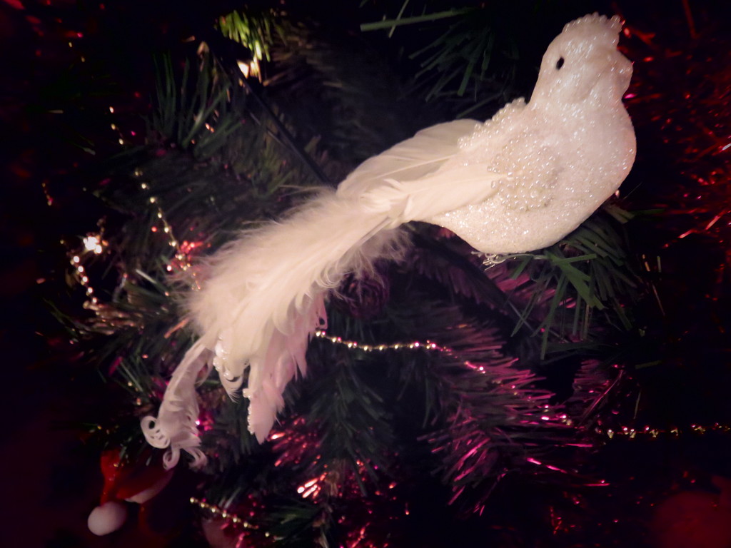 New Christmas bird by countrylassie