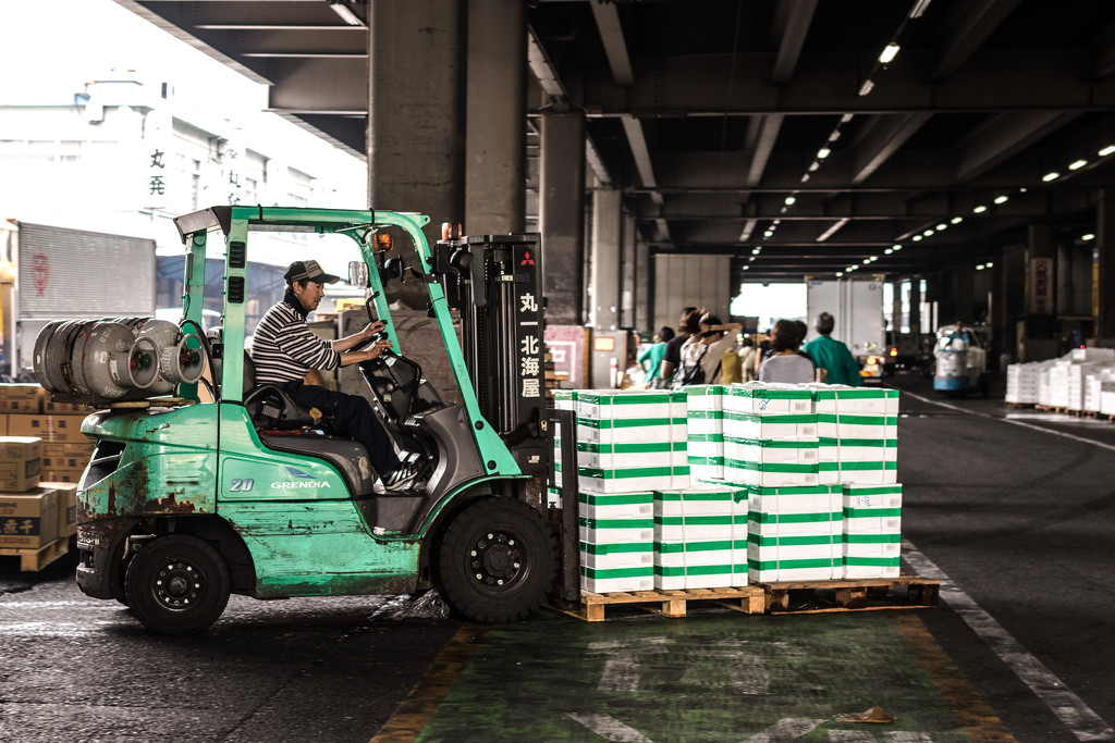 Tsukiji market--Japan Series--Day 2 by darylo