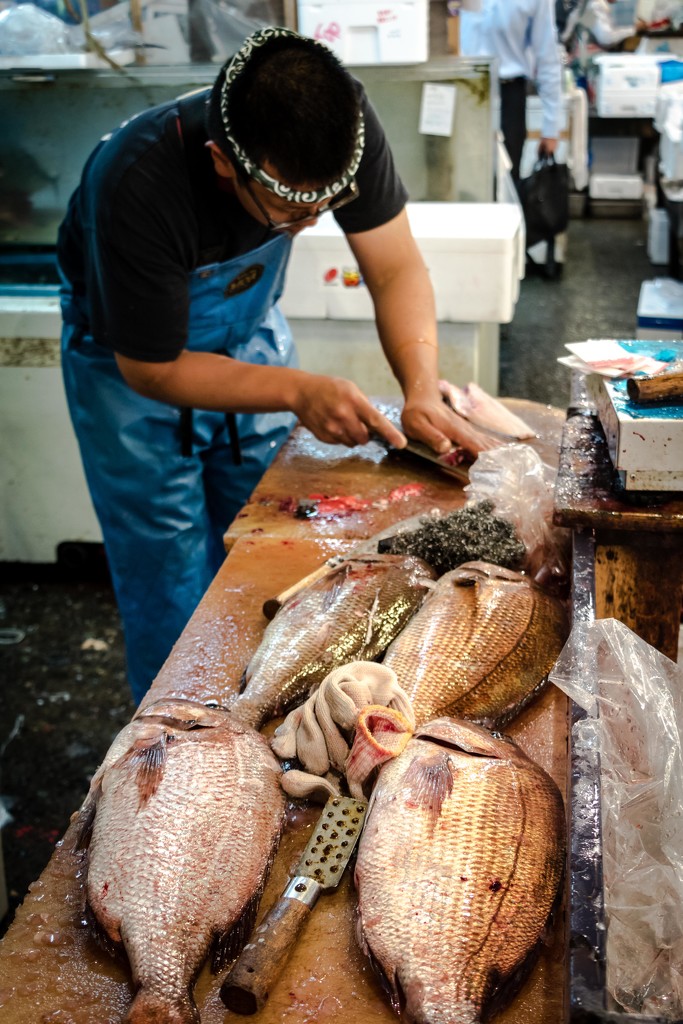 Tsukiji Market Fileting Fish--Japan Series--Day 2 by darylo