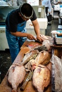 6th Sep 2015 - Tsukiji Market Fileting Fish--Japan Series--Day 2