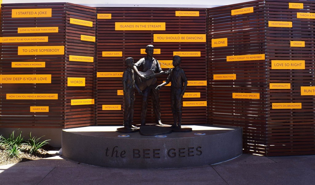Bee Gee's...1.. by happysnaps